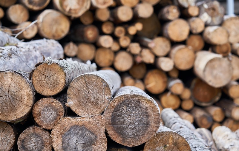Madeira reflorestada | Foto de troncos de madeira empilhados | Método construtivo | Blog Alea