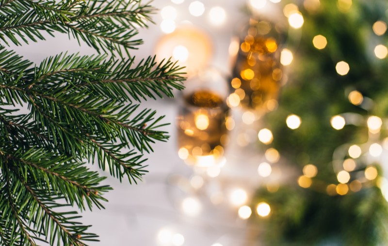 Árvore de Natal natural | Foto de um pinheiro de Natal decorado | Estilo de vida | Blog Alea