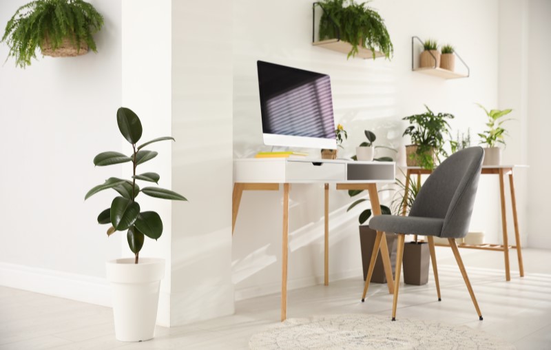 Decoração confortável | Foto de uma sala decorada com plantas e um computador | Estilo de vida | Blog Alea