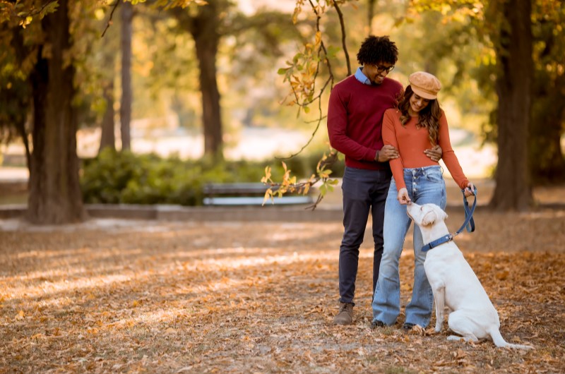 O que fazer em Boituva? | Foto de um casal passeando pelo parque com um cachorro | Estilo de Vida | Blog Alea