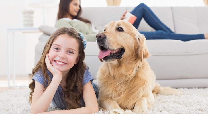 10 cuidados com animais de estimação durante as festas de fim de ano | Foto de uma menina e um cachorro deitados na sala de estar | Estilo de Vida | Blog Alea