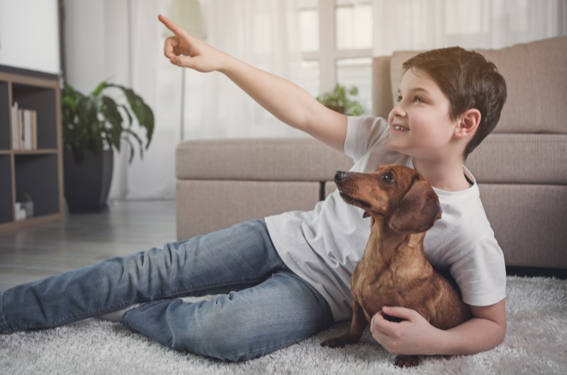 Faça um check up antes e após as férias | Foto de um menino deitado na sala com um cachorrinho | Estilo de Vida | Blog Alea