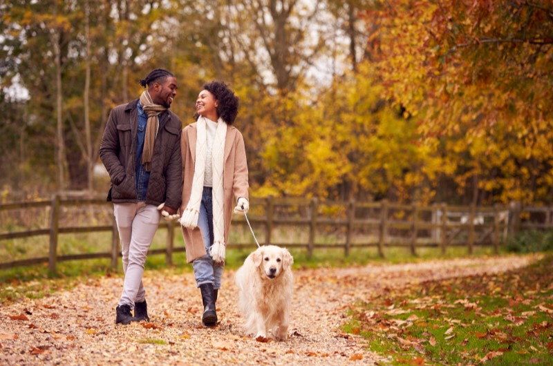 Mantenha a rotina do animal de estimação | Foto de um casal passeando com um cachorro no parque | Estilo de Vida | Blog Alea